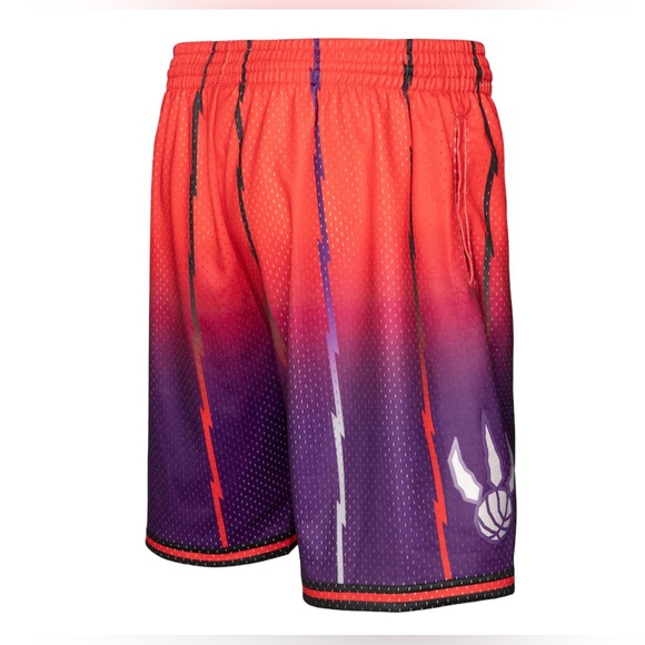 Toronto Raptors Mitchell & Ness 98/99 Hardwood Classics Fadeaway Swingman Shorts - Picture 3 of 4